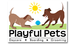 Playful Pets sponsor to Hand Me Down Dobes